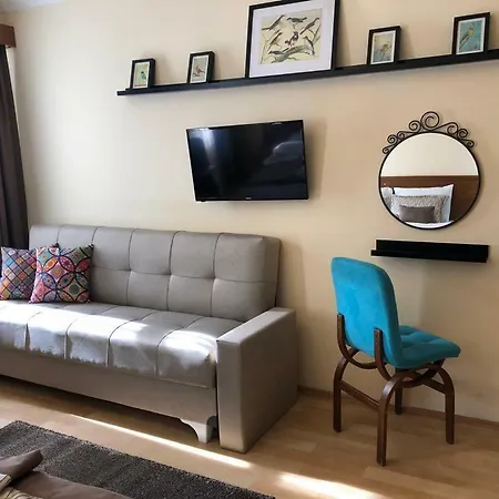 Palyaco